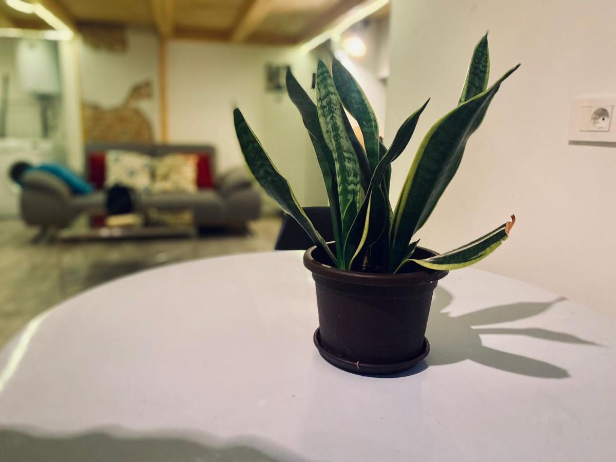 Central Cluj Loft Daire Dış mekan fotoğraf